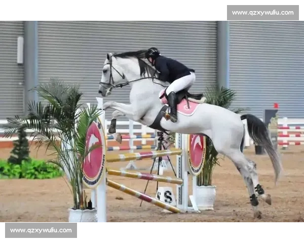 骏马跃净月 赛事启新篇 —— 东北马联马术总决赛激活体旅融合引擎